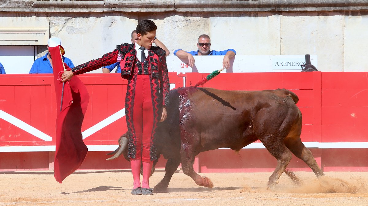 Novillada de Gallon pour Javier Zulueta, Martin Morilla et Victor (Photo Anthony Maurin)