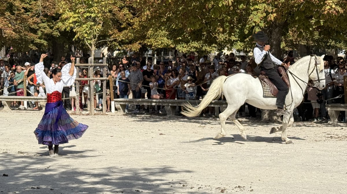 Feria des Vendanges 2025