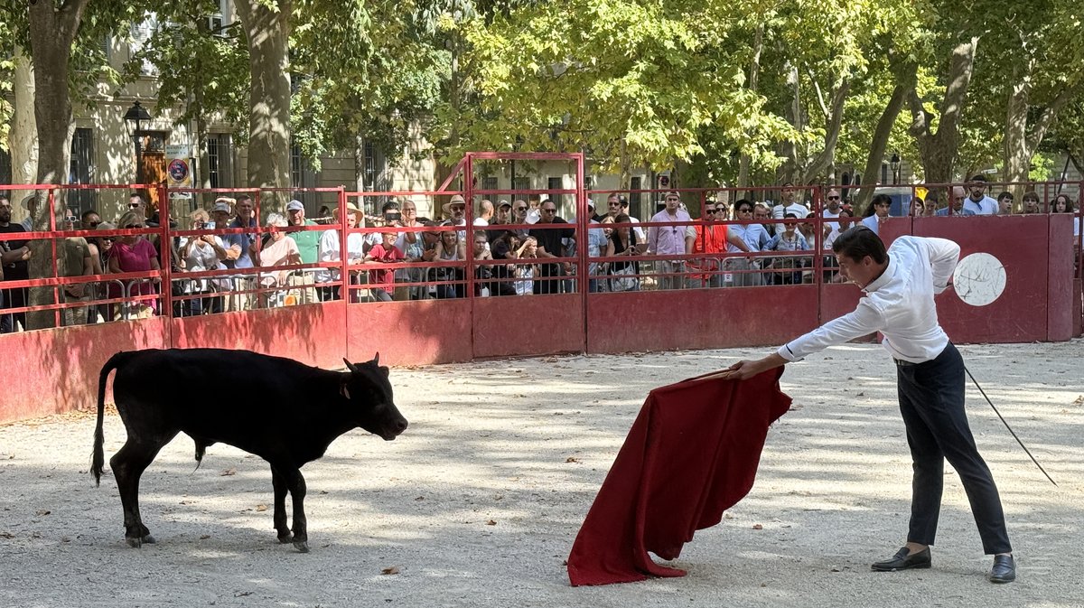 Feria des Vendanges 2025