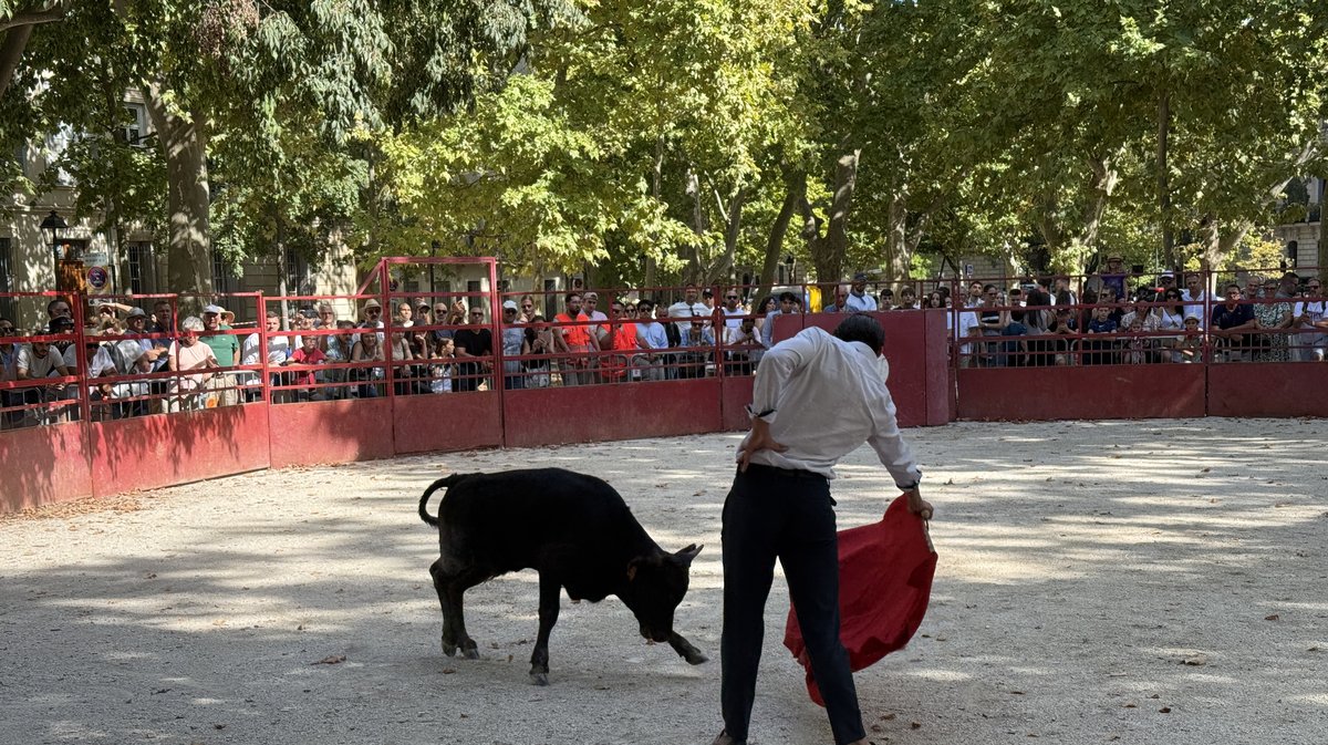 Feria des Vendanges 2025