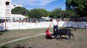 arles journee taurine barriol