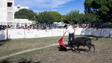 arles journee taurine barriol