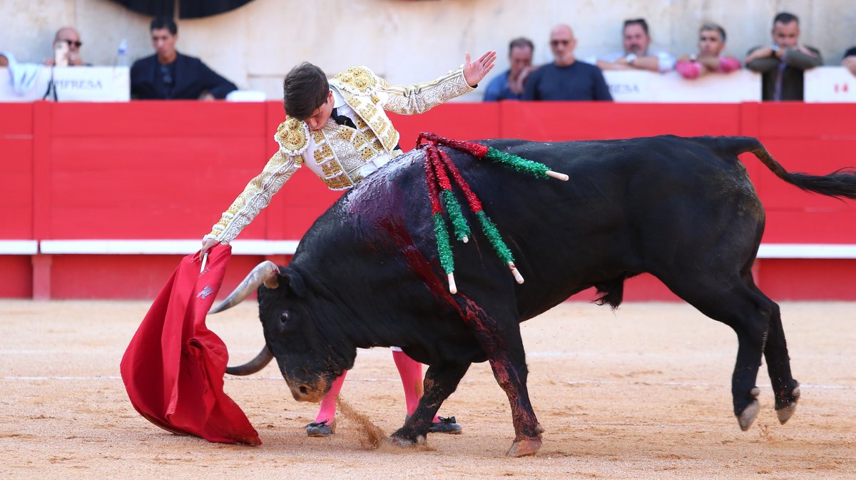 Corrida de Jandilla pour l'alternative d'Aaron Palacio, Andrés Roca Rey et Pablo Aguado (Photo Anthony Maurin)