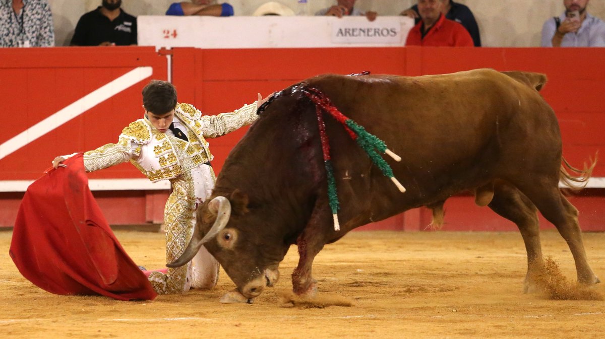 Corrida de Jandilla pour l'alternative d'Aaron Palacio, Andrés Roca Rey et Pablo Aguado (Photo Anthony Maurin)