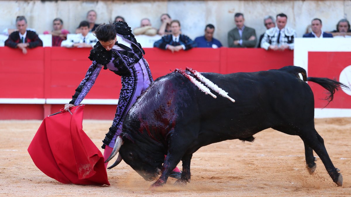 Corrida de Jandilla pour l'alternative d'Aaron Palacio, Andrés Roca Rey et Pablo Aguado (Photo Anthony Maurin)