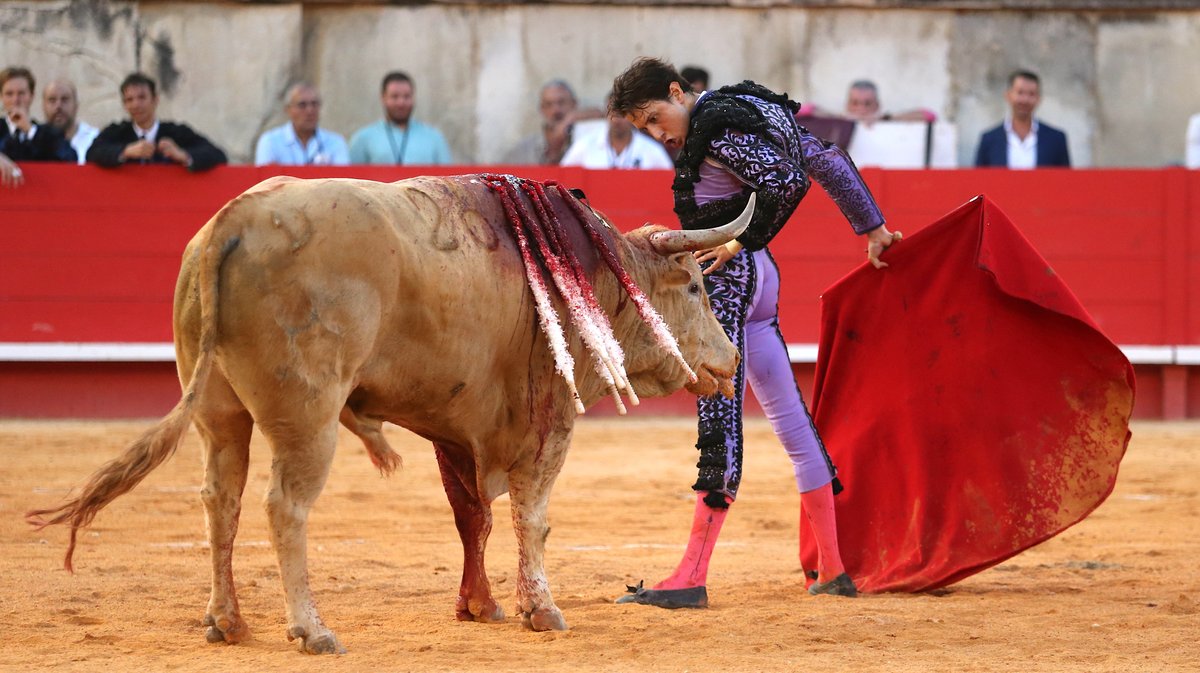 Corrida de Jandilla pour l'alternative d'Aaron Palacio, Andrés Roca Rey et Pablo Aguado (Photo Anthony Maurin)