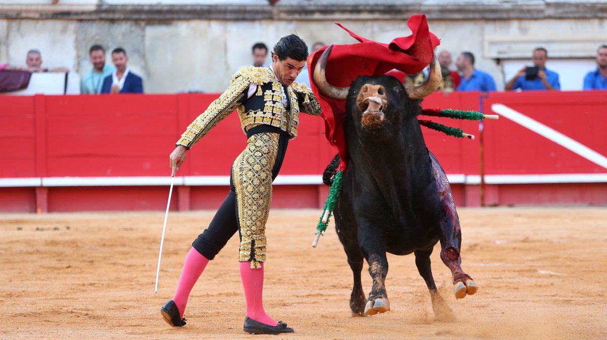 Corrida de Jandilla pour l'alternative d'Aaron Palacio, Andrés Roca Rey et Pablo Aguado (Photo Anthony Maurin)