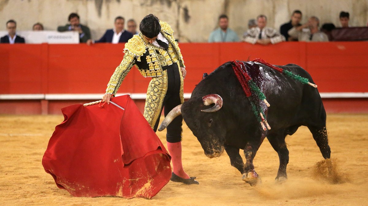 Corrida de Jandilla pour l'alternative d'Aaron Palacio, Andrés Roca Rey et Pablo Aguado (Photo Anthony Maurin)