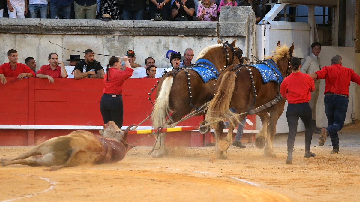 Corrida de Jandilla pour l'alternative d'Aaron Palacio, Andrés Roca Rey et Pablo Aguado (Photo Anthony Maurin)