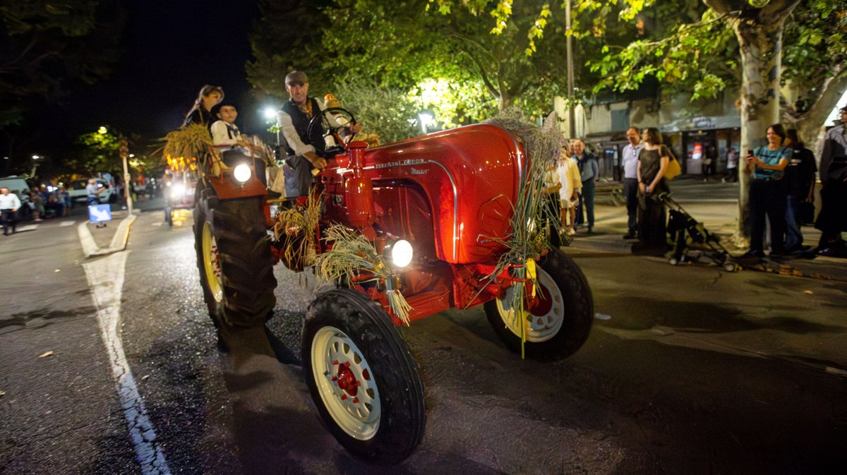 arles corso premices du riz (yp)