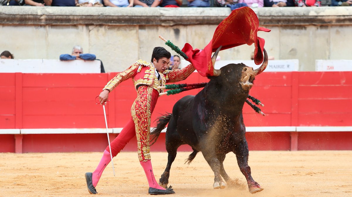 4 Corrida mixte de Juan Pedro Domecq et Fuente Ymbro pour Marco Perez et Olga Casado (Photo Anthony Maurin)