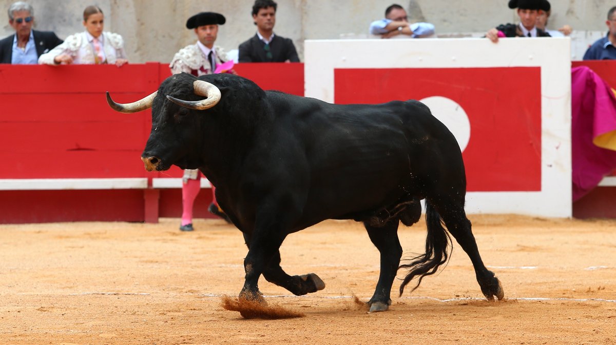 4 Corrida mixte de Juan Pedro Domecq et Fuente Ymbro pour Marco Perez et Olga Casado (Photo Anthony Maurin)