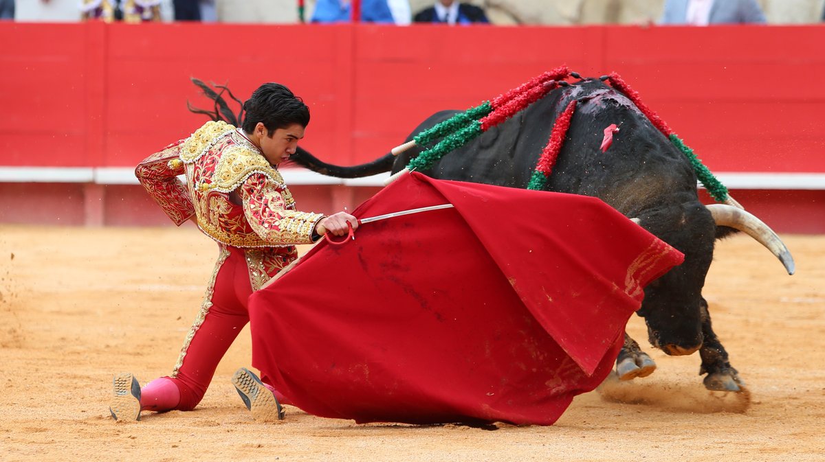 4 Corrida mixte de Juan Pedro Domecq et Fuente Ymbro pour Marco Perez et Olga Casado (Photo Anthony Maurin)