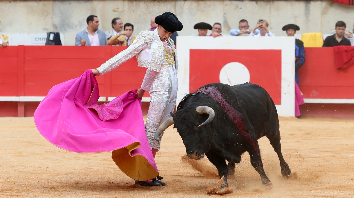 4 Corrida mixte de Juan Pedro Domecq et Fuente Ymbro pour Marco Perez et Olga Casado (Photo Anthony Maurin)