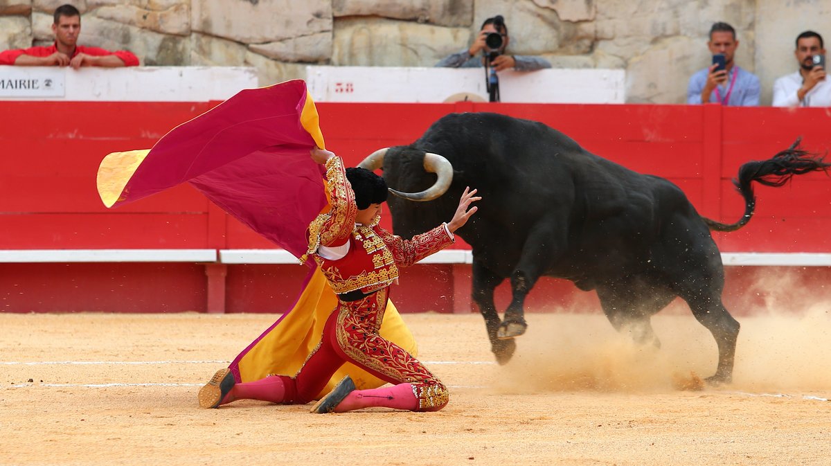 4 Corrida mixte de Juan Pedro Domecq et Fuente Ymbro pour Marco Perez et Olga Casado (Photo Anthony Maurin)