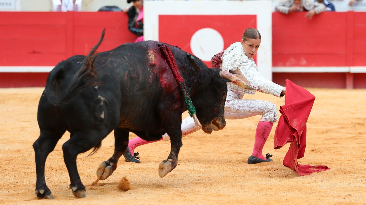 4 Corrida mixte de Juan Pedro Domecq et Fuente Ymbro pour Marco Perez et Olga Casado (Photo Anthony Maurin)