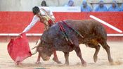 4 Corrida mixte de Juan Pedro Domecq et Fuente Ymbro pour Marco Perez et Olga Casado (Photo Anthony Maurin)