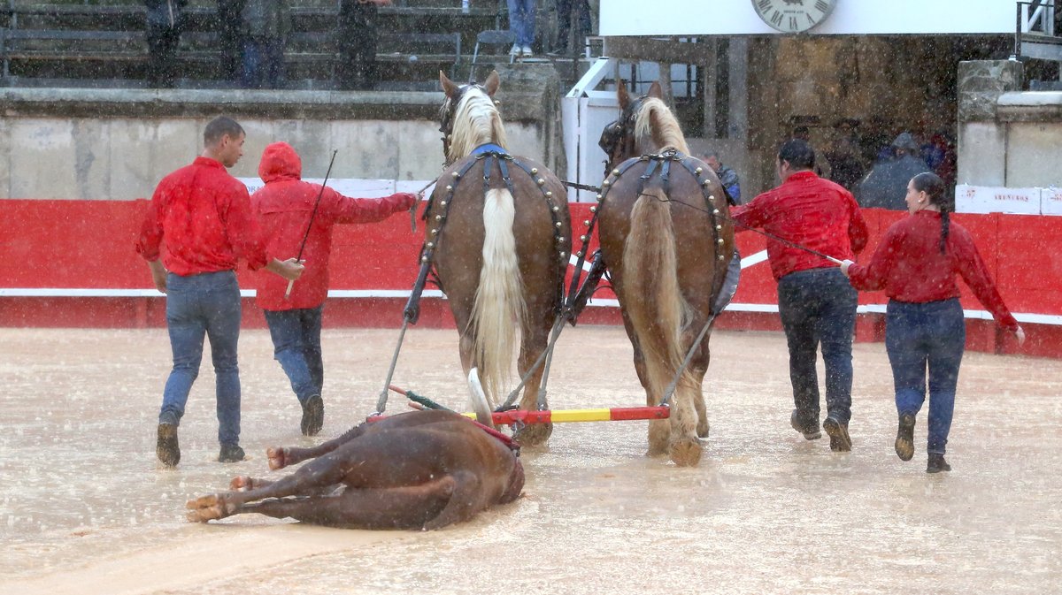 4 Corrida mixte de Juan Pedro Domecq et Fuente Ymbro pour Marco Perez et Olga Casado (Photo Anthony Maurin)