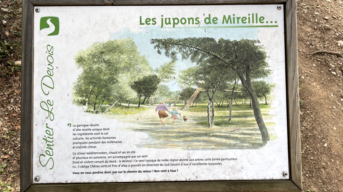 Rachalan Bigot Bois des Espeisses (Photo Anthony Maurin)