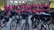 Les Roses du Sud Pont du Gard