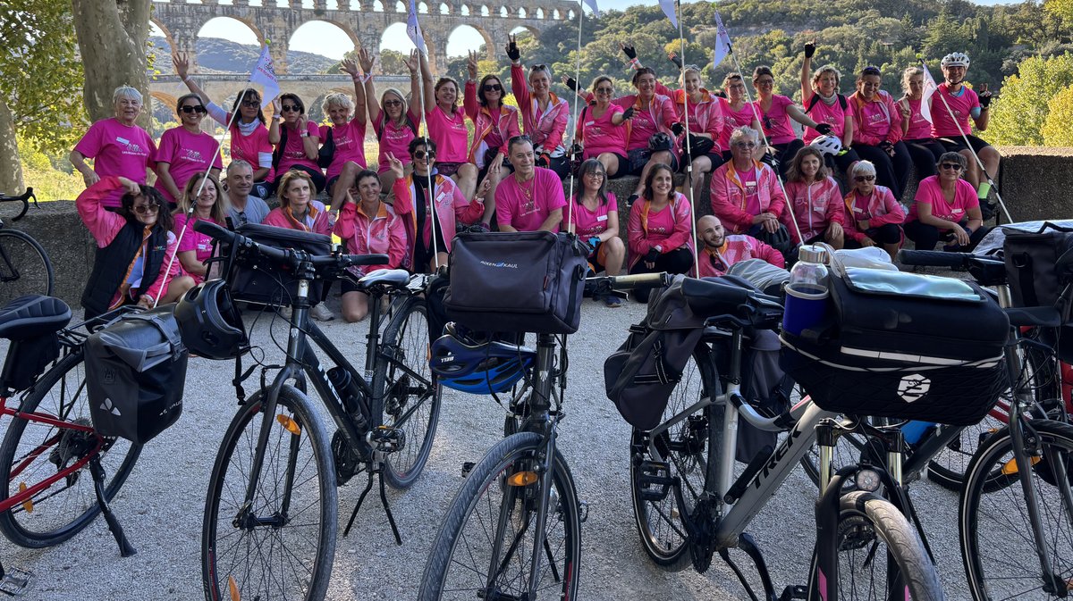 Les Roses du Sud Pont du Gard