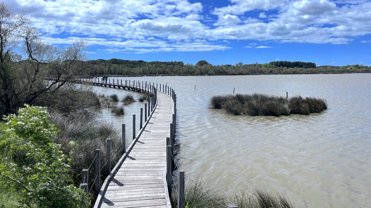 Passerelle bois Tour Carbonnière (Photo Archives Anthony Maurin)