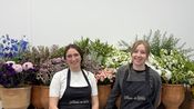 Les Fleurs de Nila