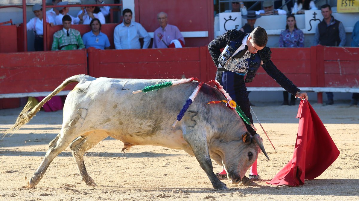 Novillada sans picadors La Embestida de Bouillargues de François André, Blohorn, Roland Durand, Alain et Frédérique Tardieu, Colombeau et A.F Tardieu pour Francisco Fernandez, Isaac Galvin et Mathias Sauvaire (Photo Anthony Maurin)