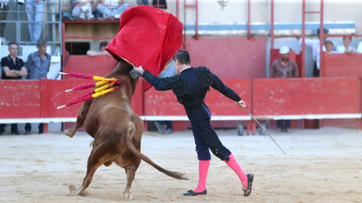 Novillada sans picadors La Embestida de Bouillargues de François André, Blohorn, Roland Durand, Alain et Frédérique Tardieu, Colombeau et A.F Tardieu pour Francisco Fernandez, Isaac Galvin et Mathias Sauvaire (Photo Anthony Maurin)