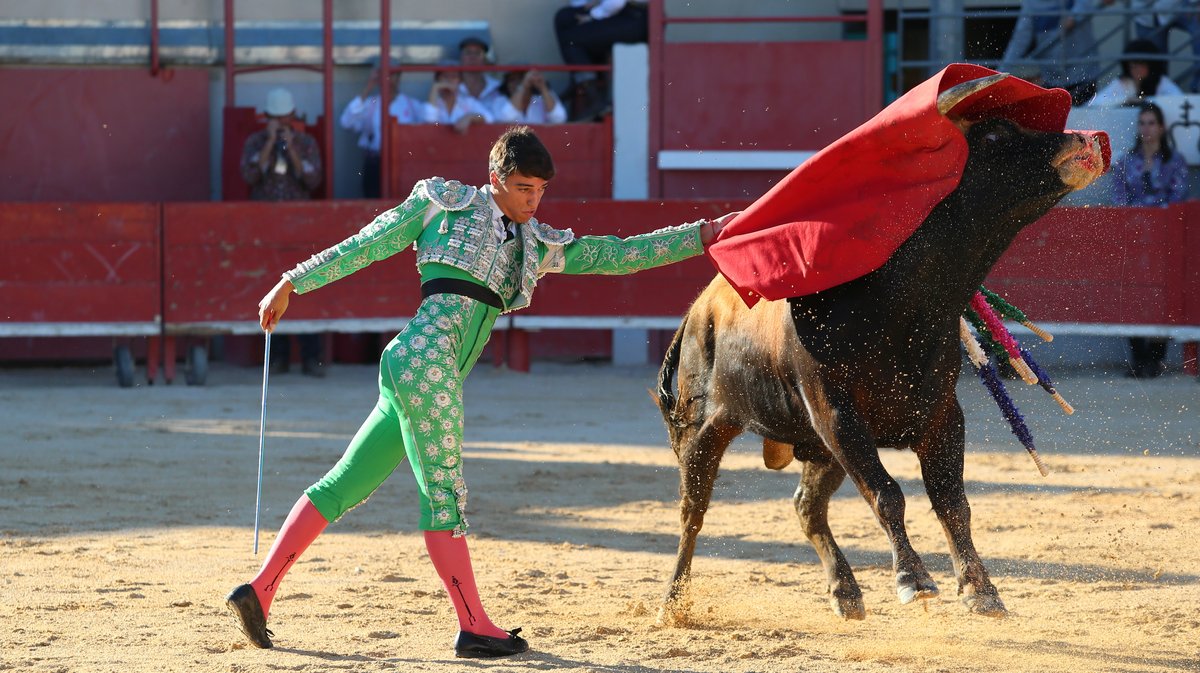 Novillada sans picadors La Embestida de Bouillargues de François André, Blohorn, Roland Durand, Alain et Frédérique Tardieu, Colombeau et A.F Tardieu pour Francisco Fernandez, Isaac Galvin et Mathias Sauvaire (Photo Anthony Maurin)