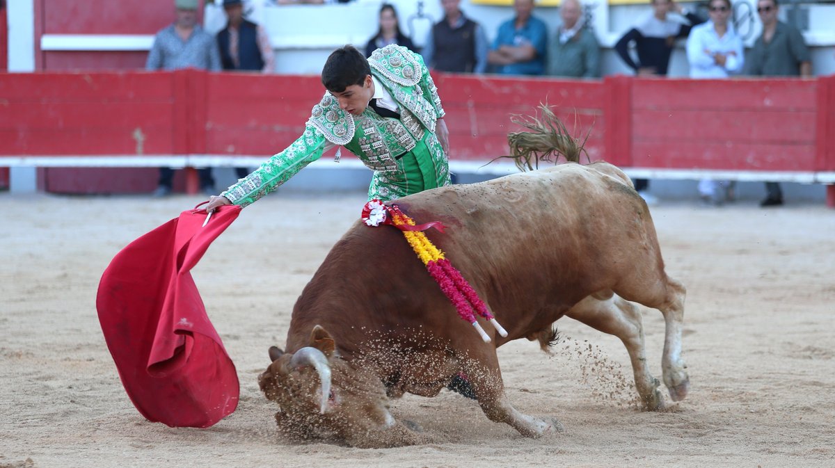 Novillada sans picadors La Embestida de Bouillargues de François André, Blohorn, Roland Durand, Alain et Frédérique Tardieu, Colombeau et A.F Tardieu pour Francisco Fernandez, Isaac Galvin et Mathias Sauvaire (Photo Anthony Maurin)