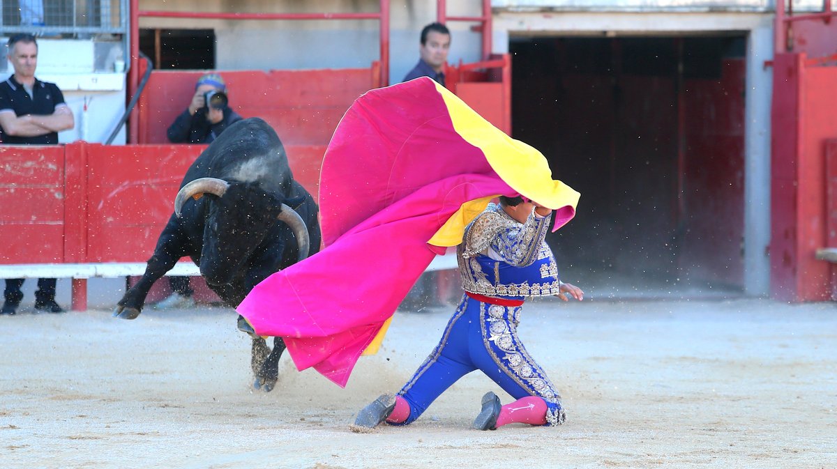Novillada sans picadors La Embestida de Bouillargues de François André, Blohorn, Roland Durand, Alain et Frédérique Tardieu, Colombeau et A.F Tardieu pour Francisco Fernandez, Isaac Galvin et Mathias Sauvaire (Photo Anthony Maurin)
