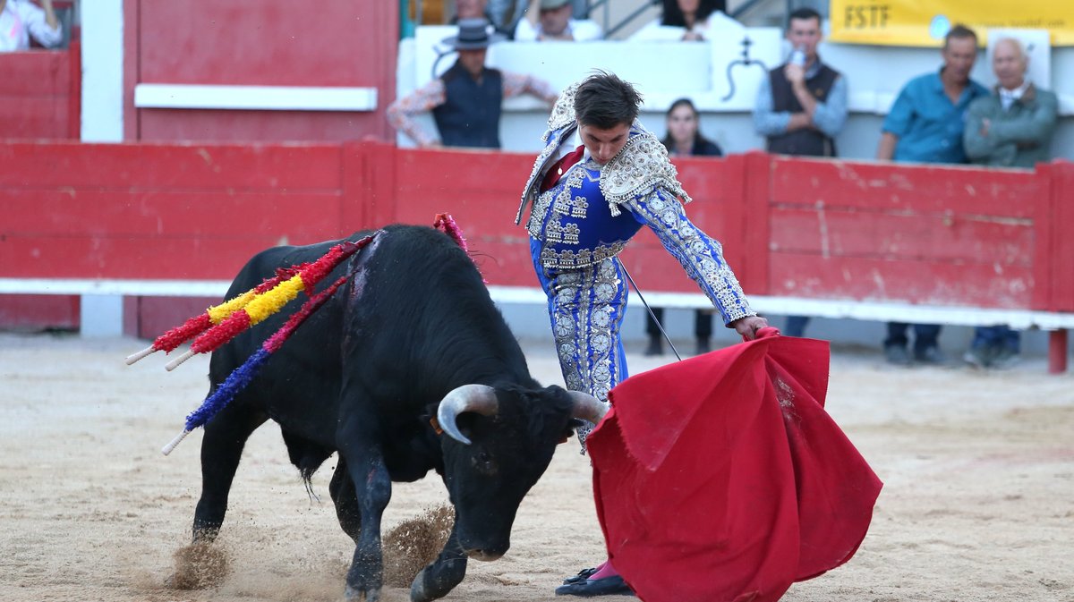 Novillada sans picadors La Embestida de Bouillargues de François André, Blohorn, Roland Durand, Alain et Frédérique Tardieu, Colombeau et A.F Tardieu pour Francisco Fernandez, Isaac Galvin et Mathias Sauvaire (Photo Anthony Maurin)