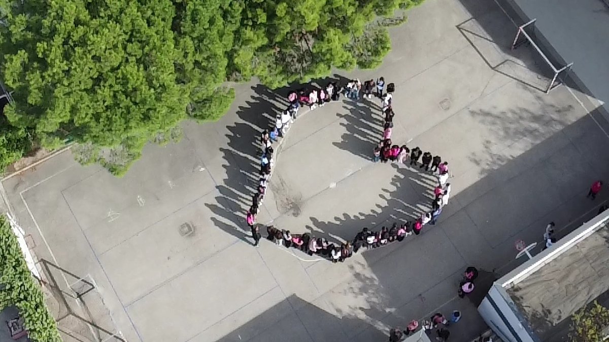 Lycée Gaston Darboux Octobre Rose