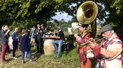 vignes réboussières IGP cévennes