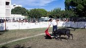 arles journee taurine barriol