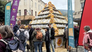 31ᵉ Foire de la Pomme et de l’Oignon Doux des Cévennes