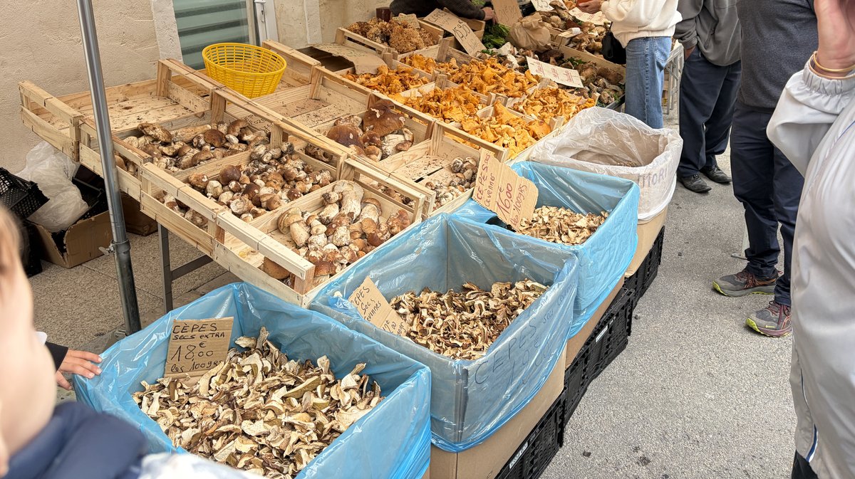31ᵉ Foire de la Pomme et de l’Oignon Doux des Cévennes