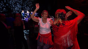 paloma o flamenco soiree sevillana (yp)