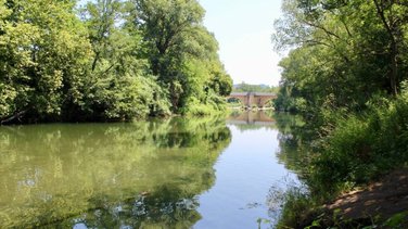 la cèze à Bagnols
