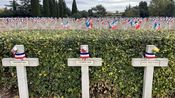 Journée Nationale du Souvenir au cimetière du Pont de Justice de Nîmes avec le Souvenir Français (Photo Anthony Maurin)