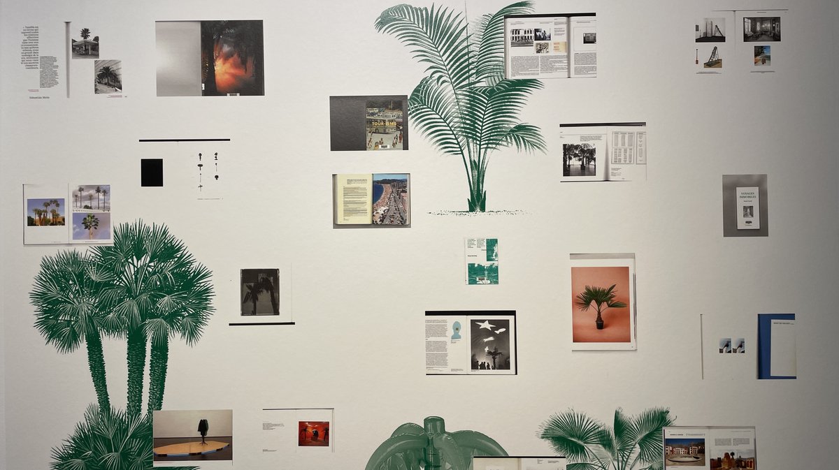 À Carré d'art, Le Revivre (Photo Anthony Maurin)