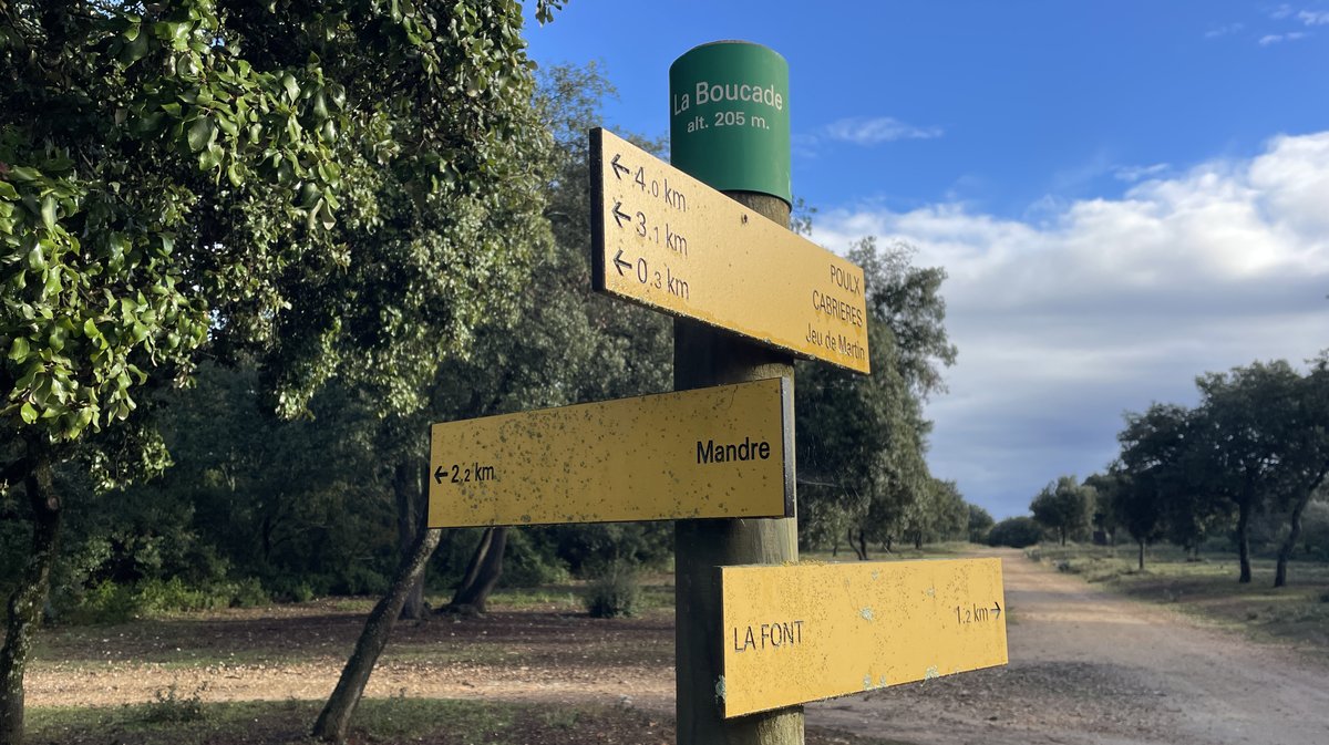La lavogne de Cabrières est pensée par le Syndicat mixte des gorges du Gardon, financée par le fonds européen LIFE Terra Musiva et créée par l'entreprise Sele (Photo Anthony Maurin)