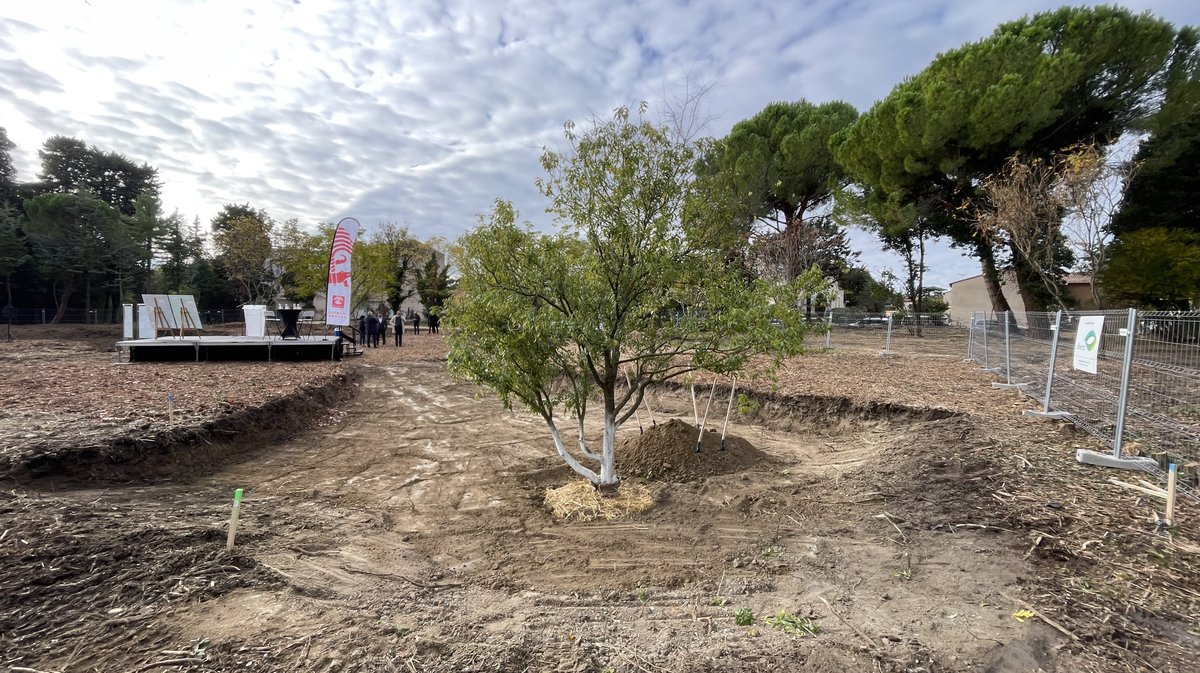 Lancement des travaux du parc urbain Jacques-Chirac à Nîmes le 8 novembre 2025 (Photo Anthony Maurin)