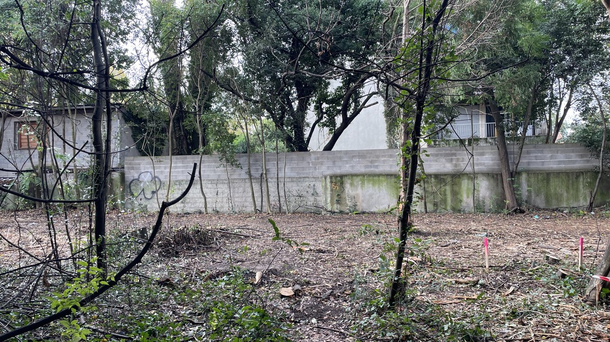 Lancement des travaux du parc urbain Jacques-Chirac à Nîmes le 8 novembre 2025 (Photo Anthony Maurin)