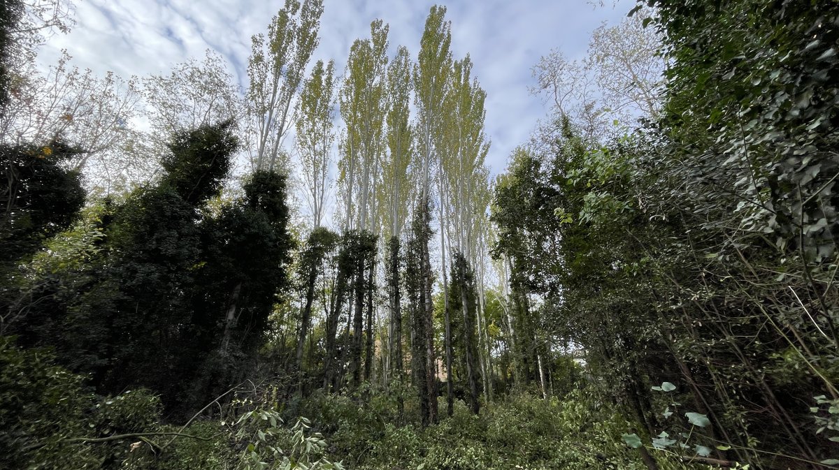 Lancement des travaux du parc urbain Jacques-Chirac à Nîmes le 8 novembre 2025 (Photo Anthony Maurin)