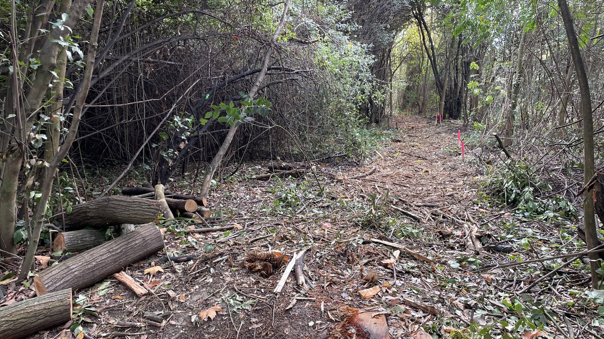 Lancement des travaux du parc urbain Jacques-Chirac à Nîmes le 8 novembre 2025 (Photo Anthony Maurin)
