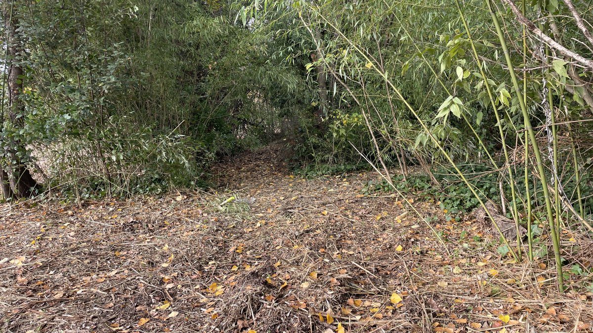 Lancement des travaux du parc urbain Jacques-Chirac à Nîmes le 8 novembre 2025 (Photo Anthony Maurin)