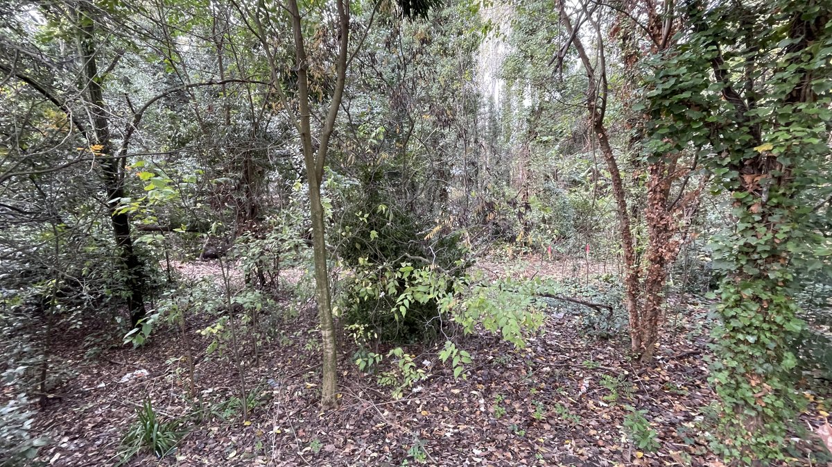 Lancement des travaux du parc urbain Jacques-Chirac à Nîmes le 8 novembre 2025 (Photo Anthony Maurin)