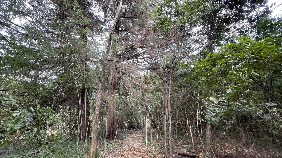 Lancement des travaux du parc urbain Jacques-Chirac à Nîmes le 8 novembre 2025 (Photo Anthony Maurin)